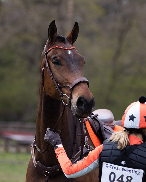 Naczółek QHP Eldorado