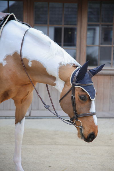 Nauszniki wyciszające Kentucky Horsewear Wellington Softshell