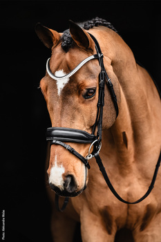 Ogłowie z nachrapnikiem szwedzkim Schockemöhle Sports Valencia
