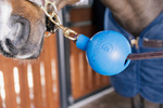 Kula ochronna do uwiązu Kentucky Horsewear