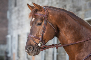 Wodze gumowe ze stoperami do podwójnego wędzidła Dy'on New English Collection NE05D