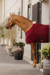 Derka osuszająco-termiczna dla konia Kentucky Horsewear Cooler Rug PROtherm