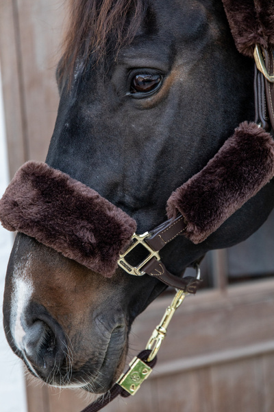 Zestaw futerek do kantara Kentucky Horsewear