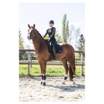 Ochraniacze ujeżdżeniowe ANKY® Active Gel Impact