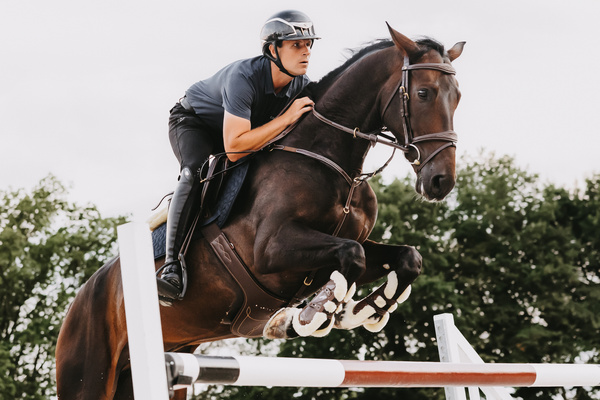 Popręg z fartuchem Kentucky Horsewear