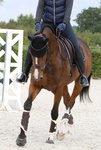 Ochraniacze ujeżdżeniowe z futrem Kentucky Horsewear Turnout Boots Leather - przody