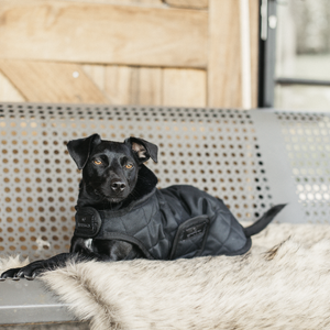 Derka dla psa Kentucky Dogwear Original