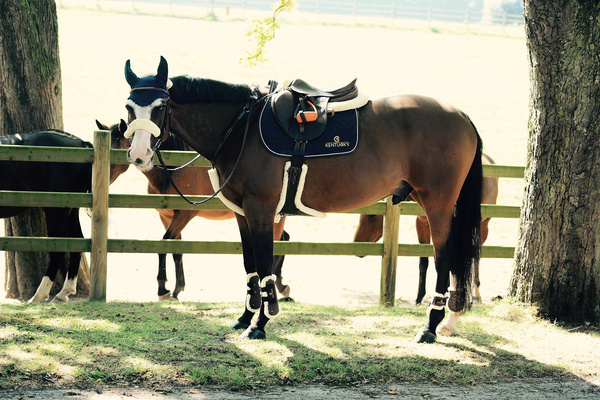 Popręg skokowy z fartuchem i futrem syntetycznym Kentucky Horsewear Sheepskin Stud Girth