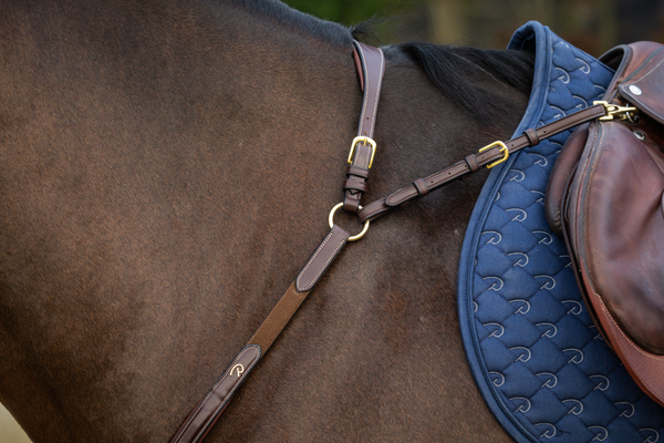 Napierśnik z mostkiem Dy'on D Collection DY06D