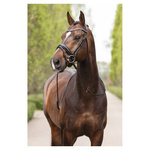 Ogłowie anatomiczne z lakierowanym nachrapnikiem szwedzkim ANKY®