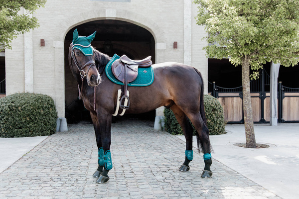 Ochraniacze tylne Kentucky Horsewear Young Horse TPU - SZMARAGDOWE