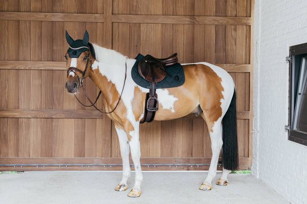 Czaprak skokowy Kentucky Horsewear Wave