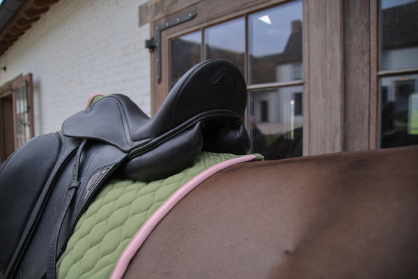 Czaprak ujeżdżeniowy Kentucky Horsewear Softshell Onion Quilt