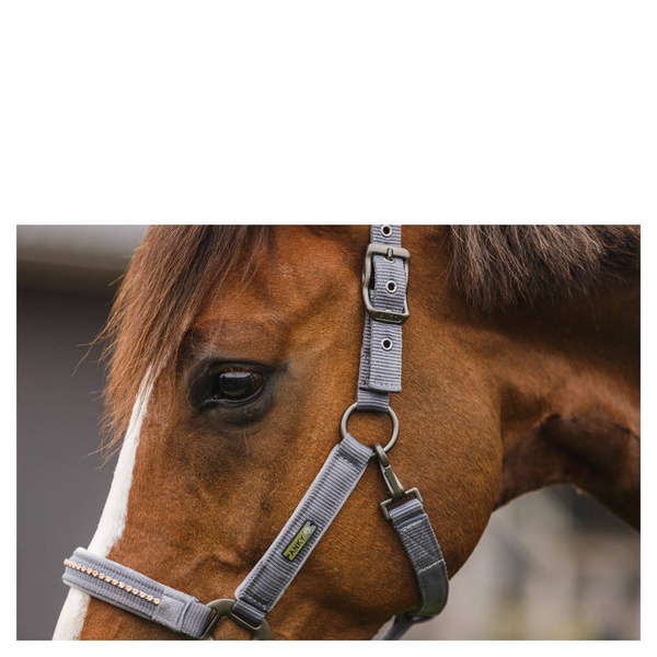 Kantar z uwiązem ANKY® Stones