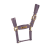 fioletowy