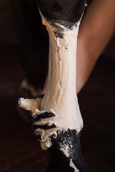 Papier do glinki chłodzącej Grooming Deluxe Horse Leg Clay Paper