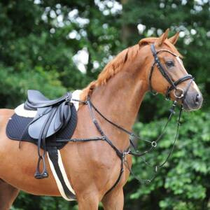 Popręg anatomiczny z futrem Kavalkade Foster Faux fur