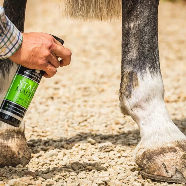 Suchy szampon do usuwania plam Carr & Day & Martin Stain Master