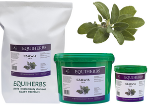 Szałwia EQUIHERBS