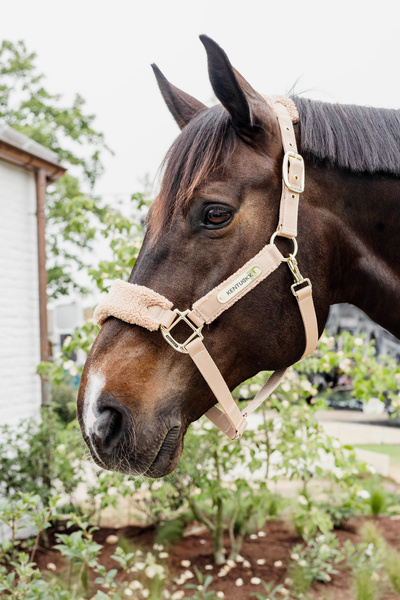 Kantar dla konia Kentucky Horsewear Teddy Fleece