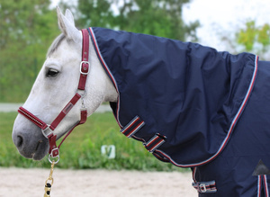 Kaptur do derki Horsenjoy Aristo