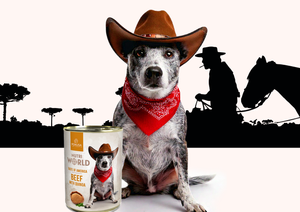 Karma mokra dla psów Pokusa Nutri World Smaki Świata – Ameryka Południowa / Wołowina 400g