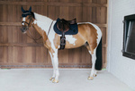 Czaprak skokowy Kentucky Horsewear Wave
