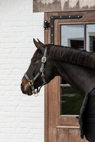 Kantar dla konia Kentucky Horsewear Plaited Nylon