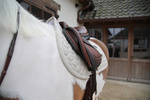 Czaprak wszechstronny Kentucky Horsewear Melange