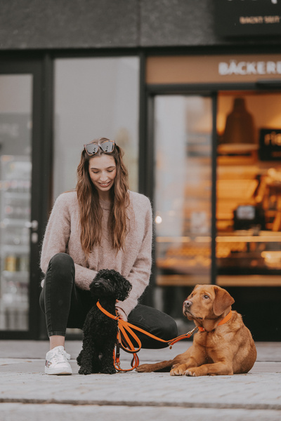 Smycz dla psa Kentucky Dogwear Plaited Nylon - 120 cm