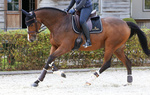 Ochraniacze ujeżdżeniowe z futrem Kentucky Horsewear Turnout Boots Leather - przody