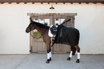 Derka siatkowa przeciw owadom Kentucky Horsewear Light Striped Mesh Fly Sheet