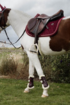 Czaprak wszechstronny Kentucky Horsewear Velvet