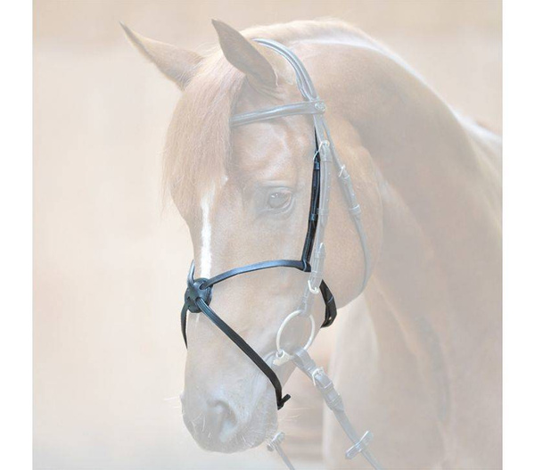 Nachrapnik meksykański Kavalkade