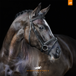 Ogłowie z nachrapnikiem kombinowanym Schockemöhle Sports Mannheim