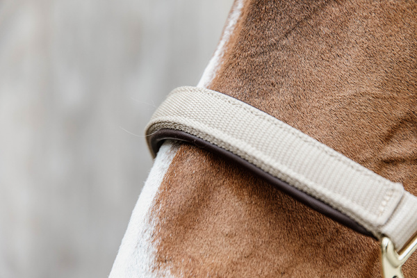 Kantar anatomiczny Kentucky Horsewear Anatomic Nylon