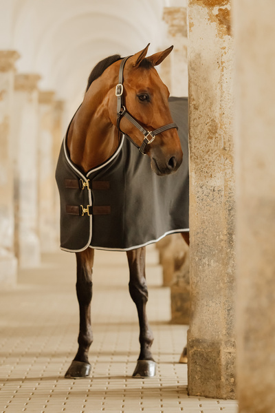 Kantar ze skóry syntetycznej Kentucky Horsewear Leather Halter Wellington