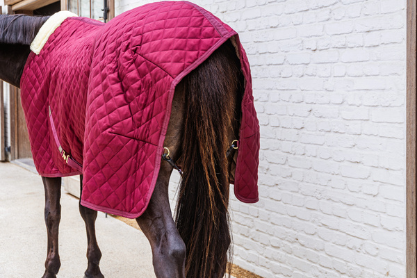 Derka stajenna Kentucky Horsewear - 400g