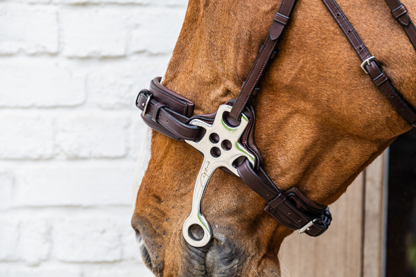 Hackamore Dy'on New English Collection NE-14003