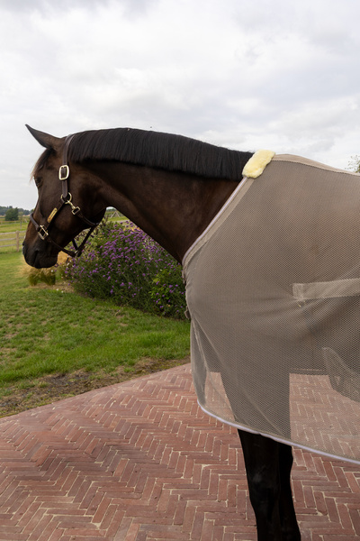 Derka siatkowa przeciw owadom z klapą na brzuch Kentucky Horsewear Fly Rug with Belly Cover Comfort