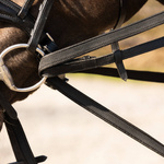 Czarna wodza QHP Basic