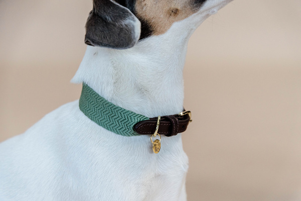 Obroża dla psa Kentucky Dogwear Jacquard