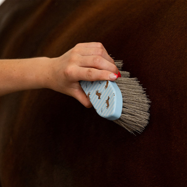 Zestaw do czyszczenia konia QHP Stable buddy