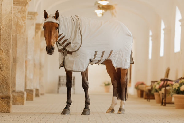 Derka siatkowa przeciw owadom z kapturem dla koni z egzemą Kentucky Horsewear Eczema Rug