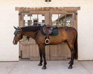 Czaprak wszechstronny Kentucky Horsewear Velvet Mini Pearls