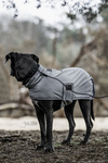 Derka dla psa Kentucky Dogwear Raincoat