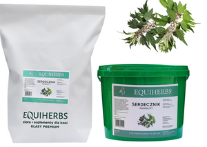 Serdecznik pospolity EQUIHERBS