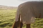 Derka siatkowa przeciw owadom z kapturem i osłoną brzucha Kentucky Horsewear Mesh Fly Rug Comfort Classic