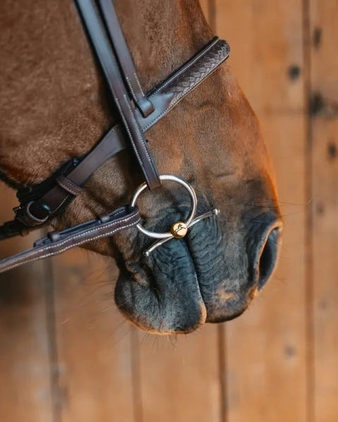 Wędzidło zwykłe z krótkimi wąsami FAGER Carter Sweet Gold - pojedynczo łamane