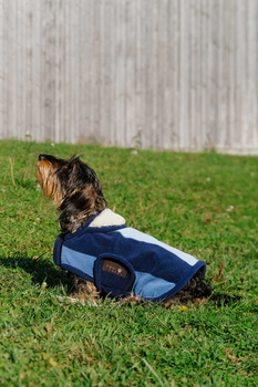 Derka polarowa dla psa EQUITHÈME Confortec